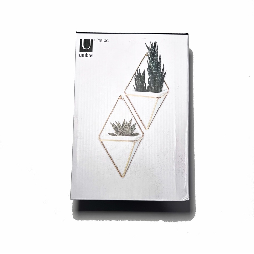 Umbra Trigg Small Wall Display